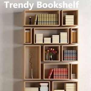  Trendy Bookshelf -sadguru cleaning.png